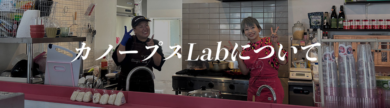 カーノプスLabについて