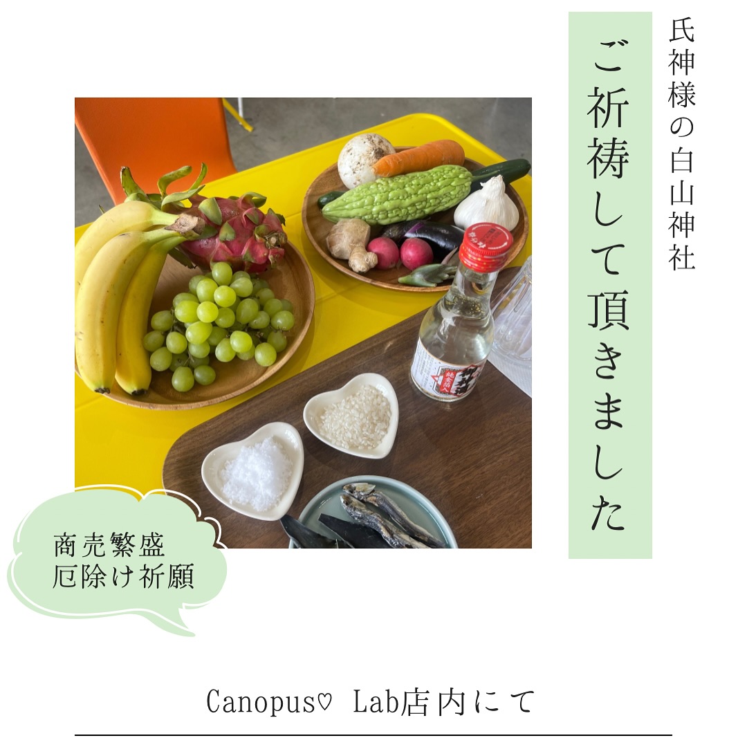 ＼ご報告⛩／
Canopus♡Labでは、お店の氏神様「白山神社」にて
商売繁盛と厄除け祈願のご祈祷をしていただきました。

地元の神様に、感謝と祈りを込めて——
旬の果物やお塩、お米などを丁寧にお供えし、
心を込めて手を合わせました。

この神社に祀られているのは、
ご縁と調和の女神、菊理媛命（くくりひめのみこと）
天地創造の父神、伊弉諾命（いざなぎのみこと）
命を生む母神、伊弉冉命（いざなみのみこと）

その中でも私たちが特に大切にしているのが、
「くくりひめ」という、美しく静かな女神さまです。

彼女は日本神話において、
黄泉の国で別れようとしていたイザナギとイザナミの心を、
“たった一言”で結び直したと伝えられています。

 “くくる”とは、ただ縛るのではなく、
切れそうなもの、ほどけたもの、壊れたものを、
やさしく、温かく、結びなおすこと。

その姿は、わたしたちCanopus♡Labの在り方と重なります。

⸻

私たちは、おにぎりをつくっています。
でもそれはただの“ごはん”ではありません。

おむすびは、祈り。
おむすびは、“むすび”。
人と人、心と心、笑顔と未来をむすぶ、
そんなエネルギーのこもった、神様ごはんだと思っています。

⸻

この場所で出会えた奇跡に、
そっと寄り添いながら、ひとつひとつのおむすびに、
“むすび”の想いをこめて。

Canopus♡Labは、
ご縁をむすぶ台所として、
たくさんの愛と優しさが巡る場所を目指していきます。

くくりひめ様、どうかこれからも見守っていてください。

そしてここで出会う、すべてのご縁に、ありがとう🕊️